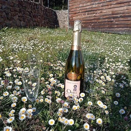 Clos Moulin בית נופש *
